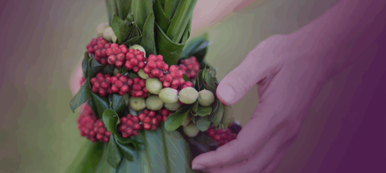 ANSER Donates to Maui Wildfires